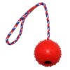 Pelota con púas con soga