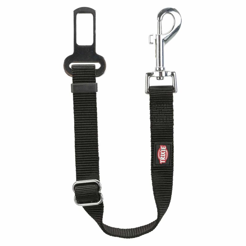 Cinturón de seguridad