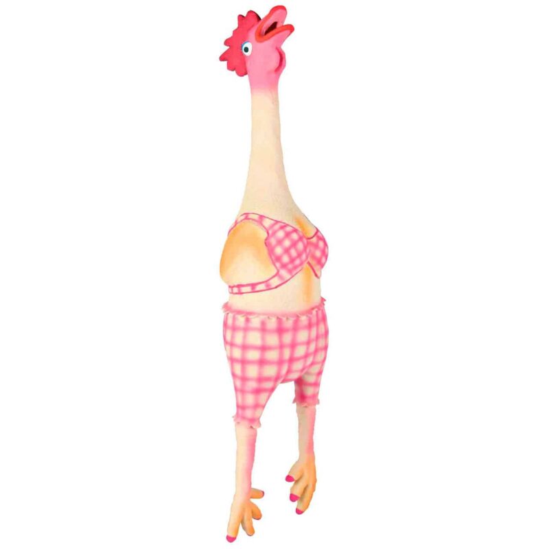 Gallina de látex