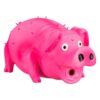 Cerdito Látex pesado