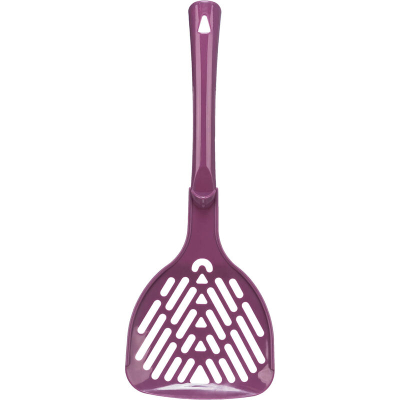 Palita
