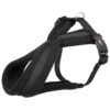 Arnés premium acolchado - M, Negro