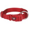 Collar Premium