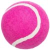 Pelota de tenis