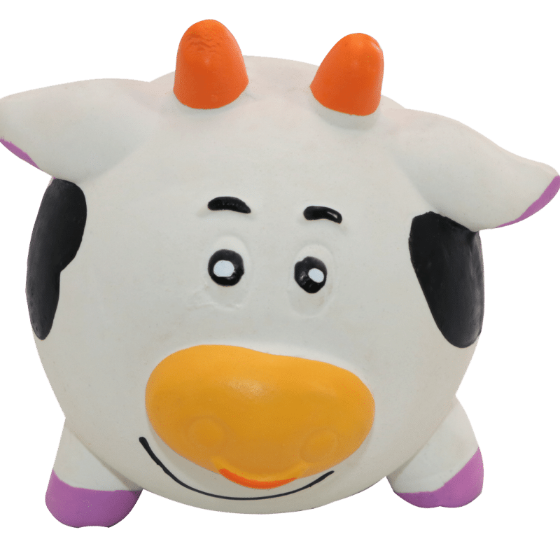 Vaca, látex