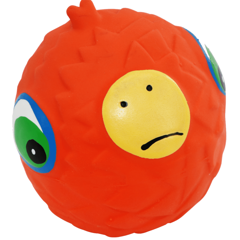 Pájaro, látex