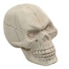 Calavera