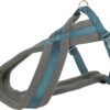 Arnés premium acolchado - L, Azul petroleo