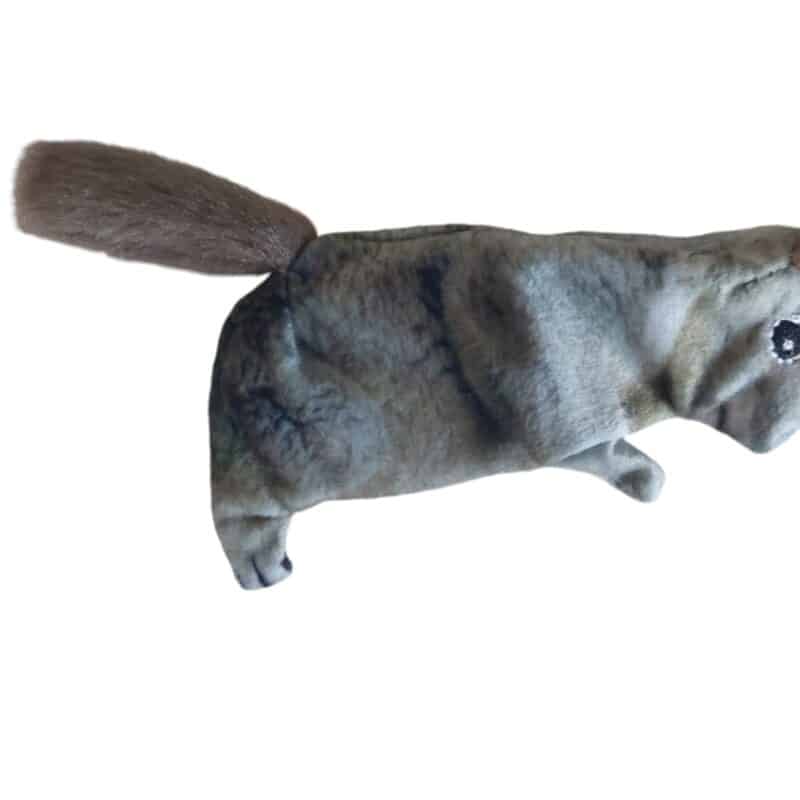Ardilla