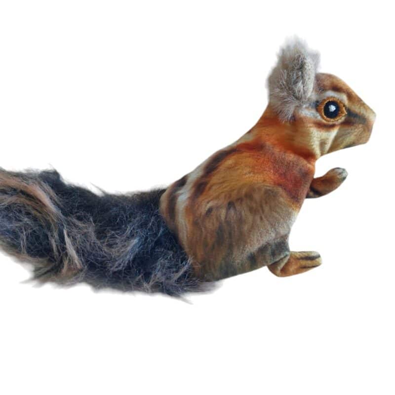 Ardilla