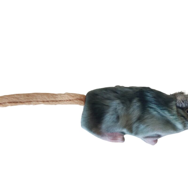 Ratón