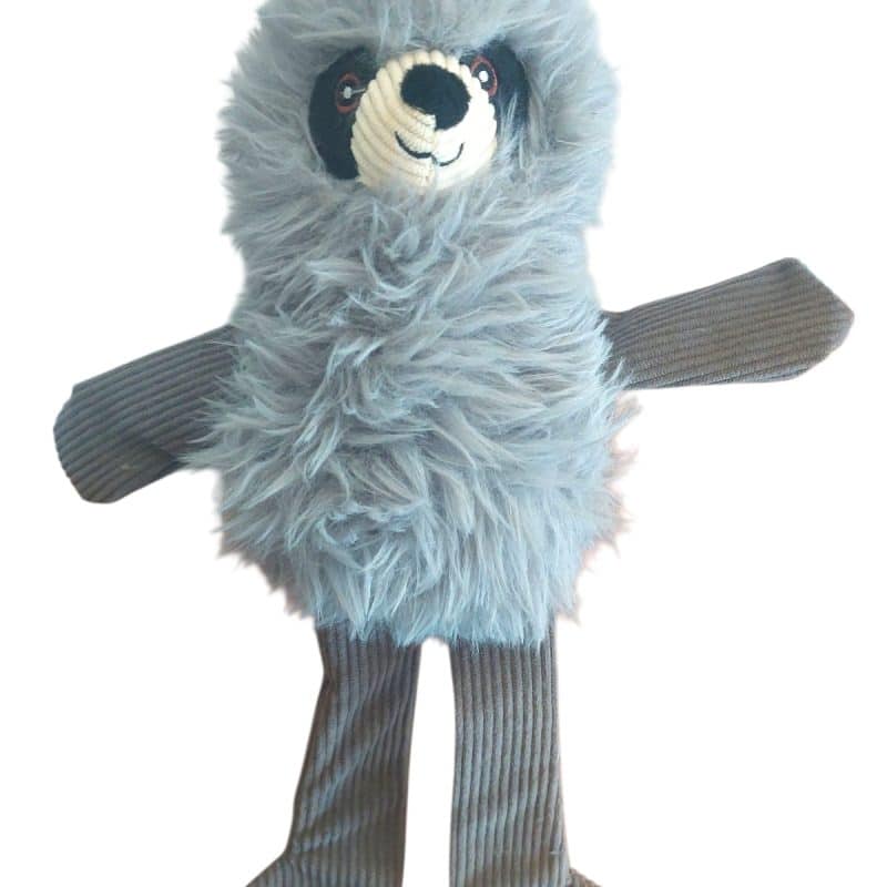 Mapache