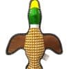 Pato