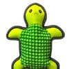 Tortuga