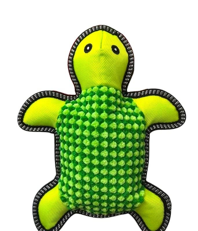 Tortuga