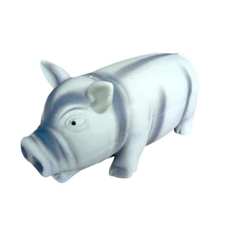 Chancho