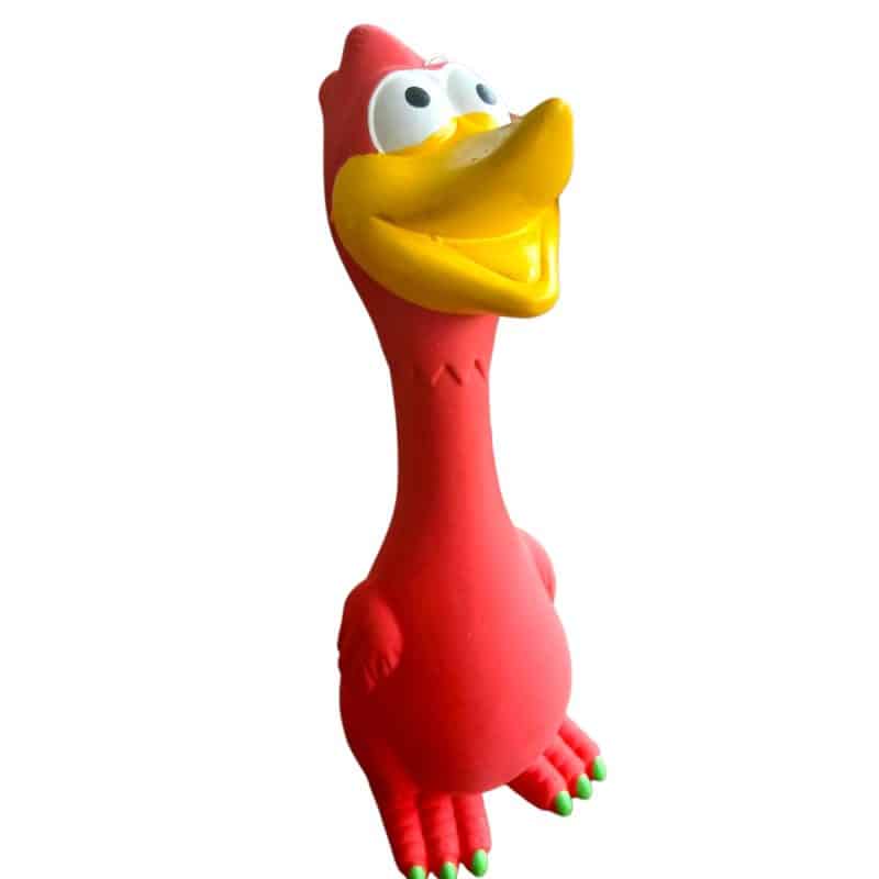 Pájaro