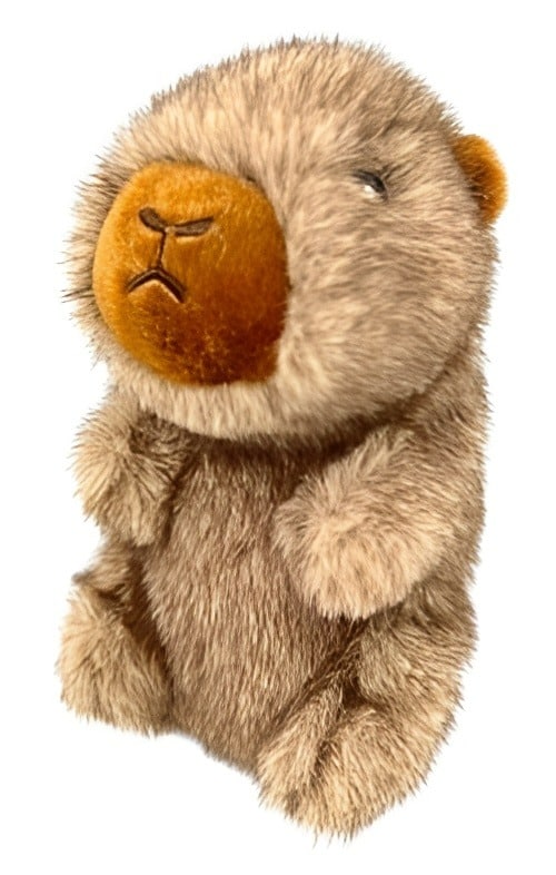 Capibara