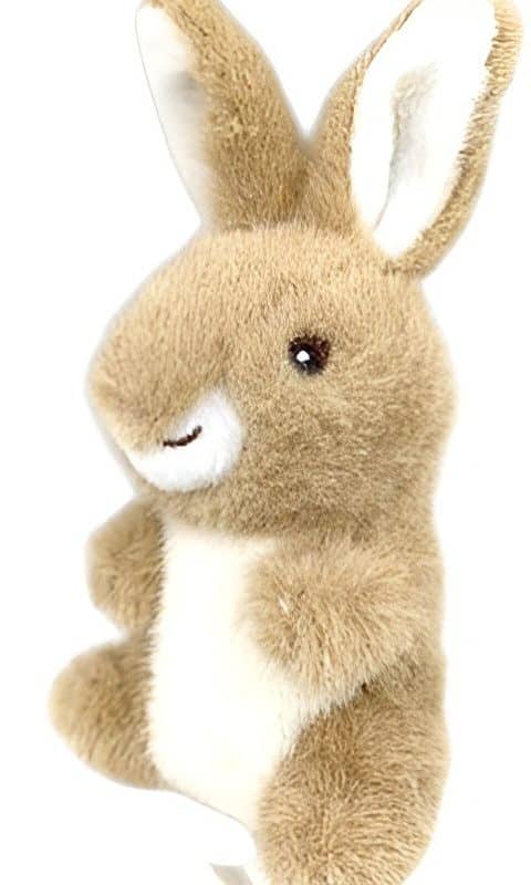 Conejo